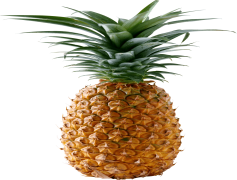 Pineapple, Refreshing, Juicy, Tropical, Fruit PNG