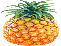 Pineapple, Tropical, Juice, Fruit, Sweet PNG