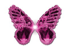 Pink Butterfly, Wings, Colorful, Insect, Delicate PNG