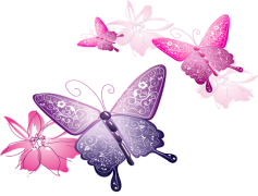 Pink Butterfly