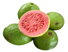 Pink Guava, Exotic Flavor, Juicy Flesh, Refreshing Snack, Vibrant Color PNG