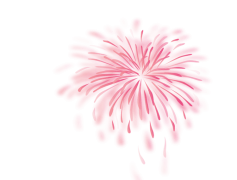 Pink Vector Fireworks, Eye-Catching Show, Celebration Effects, Vibrant Bursts, Colorful Explosions PNG