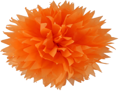 Pom Pom, Craft, Soft, Colorful, Decor PNG