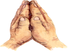 Pray Hands, Gratitude, Faith, Unity, Prayer PNG