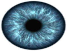 Pupil, Attendee, Enrollee, Apprentice, Participant PNG