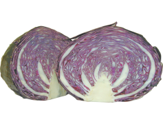 Purple Half Cabbage, Nutrient-Rich, Healthy, Culinary, Fresh PNG