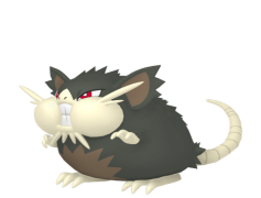 Raticate Pokemon, Normal Type, Rodent, Agility, Fast PNG
