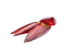 Raw Banana Flower, Tropical Cuisine, Traditional Dishes, Health Benefits, Nutrient-Rich Vegetable PNG