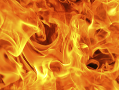 Real Fire Transparent Background