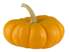 Real Pumpkin Transparent Background
