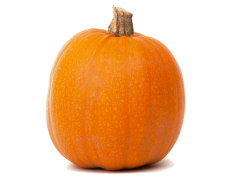Real Pumpkin Transparent PNG