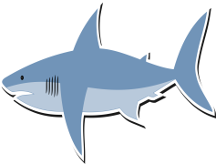 Real Shark, Powerful Swimmer, Marine Creature, Ocean Predator, Finned Animal PNG