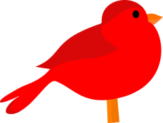 Red Bird, Wildlife, Bright, Avian, Habitat PNG