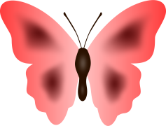 Red Butterfly, Symbolism, Wings, Insect, Colorful PNG