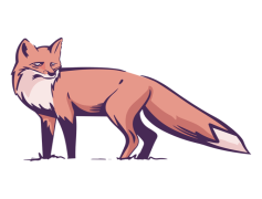 Red Fox, Nature, Mammal, Wildlife, Canine PNG