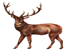 Reindeer, Sleigh, Festive, North, Winter PNG