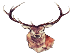 Reindeer, Sleigh, Holiday, Forest, Elk PNG