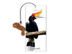 Rhinoceros Hornbill, Colorful Beak, Endangered Avian, Unique Plumage, Cultural Symbol PNG