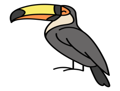 Rhinoceros Hornbill, Endangered Species, Cultural Symbol, Avian Diversity, Tropical Bird PNG