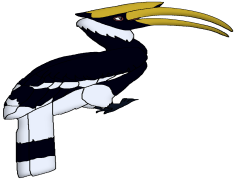 Rhinoceros Hornbill, Tropical Habitat, Colorful Beak, Unique Nesting, Exotic Bird PNG