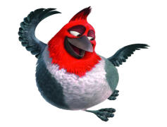 Rio, Amazon, Beach, Culture, Sunset PNG