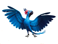 Rio, Sugarloaf, Carnival, Amazon, Christ PNG