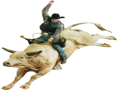 Rodeo, Barrel Racing, Steer Wrestling, Western, Cowboy PNG