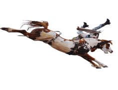 Rodeo, Competition, Western, Lasso, Arena PNG