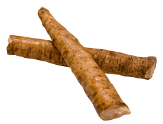 Root, Core, Base, Source, Origin PNG