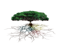 Root, Source, Foundation, System, Core PNG