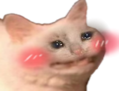 Sad Cat Memes, Crestfallen Furball, Melancholy Kitty, Blue Whiskers, Disheartened Cat PNG