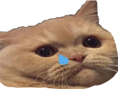 Sad Cat Memes, Feline Sorrow, Depressed Kitties, Whimsical Sadness, Pensive Paws PNG