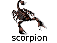 Scorpion, Desert, Stinger, Predator, Arachnid PNG