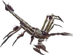 Scorpions, Venomous, Arachnids, Nighttime, Predators PNG