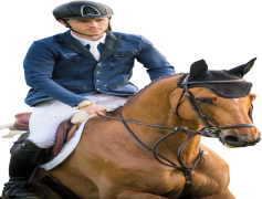 Scott Brash, Horses, Competition, Showjumping, Champion PNG