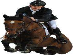 Scott Brash, Show Jumping, Athlete, Rider, Champion PNG