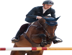 Scott Brash, Showjumping, Scotland, Equestrian, Olympics PNG