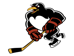 Scranton Penguins, Penguins Fans, Arena Games, Pennsylvania, Ice Hockey PNG