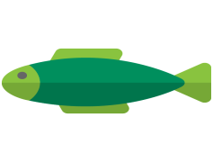 Sea Animal, Marine Life, Ocean Creature, Deep Sea Organism, Sea Dweller PNG