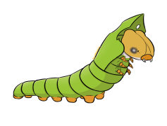 Sewaddle Pokemon, Cute Creature, Nature-Inspired, Bug Type, Evolution PNG