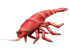 Shrimp, Seafood, Grilled, Cuisine, Delicacy PNG