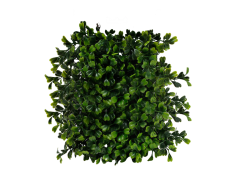 Shrub, Foliage, Greenery, Gardening, Plant PNG