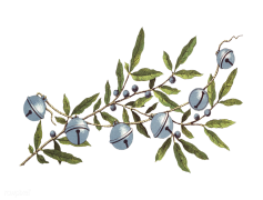 Sleigh Jingle Bells, Joy, Ride, Fun, Cheer PNG