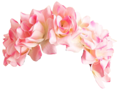 Snapchat Flower Crown, Trendy Add-On, Creative Expression, Virtual Accessories, Selfie Enhancement PNG
