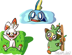 Sobble Pokemon, Galar Region, Shy Nature, Water Type, Inteleon PNG