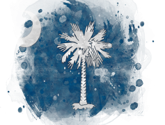 South Carolina State Flag, Blue Field, Palmetto Tree, Heritage Symbol, State Emblem PNG