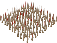 Spikes, Protrusions, Sharp, Tips, Prongs PNG