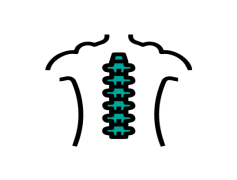 Spine, Support, Alignment, Flexibility, Balance PNG