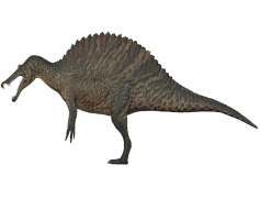 Spinosaurus, Fossil, Cretaceous, Large, Dinosaur PNG