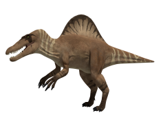 Spinosaurus, Fossil, Dinosaur, Aquatic, Predator PNG